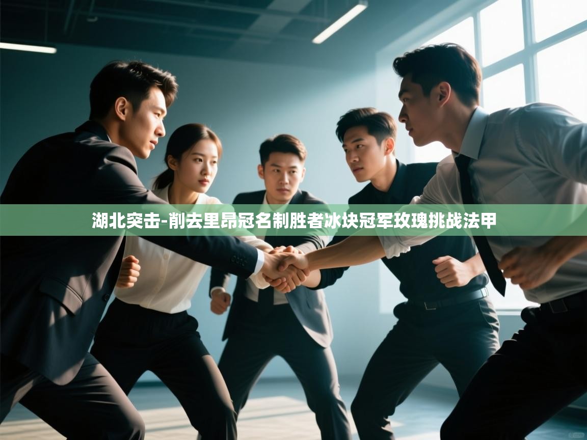 湖北突击-削去里昂冠名制胜者冰块冠军玫瑰挑战法甲 第2张