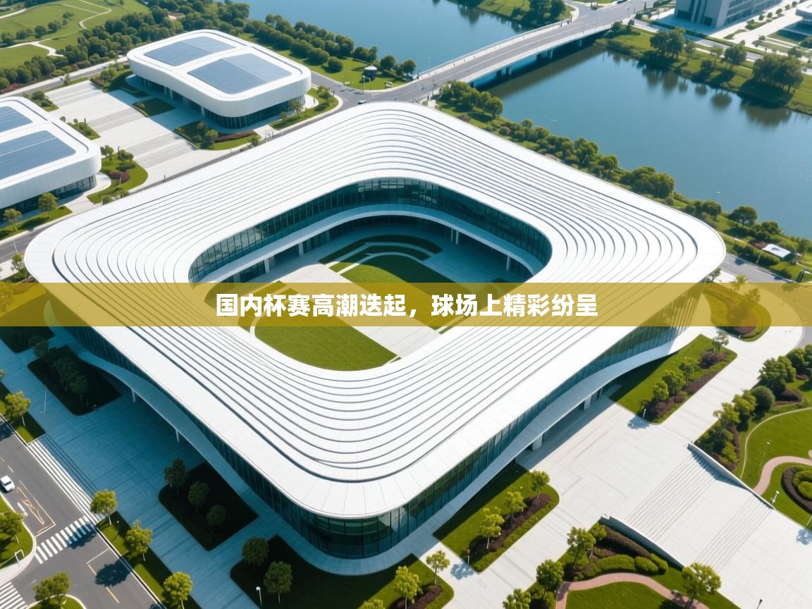 国内杯赛高潮迭起,球场上精彩纷呈 第2张